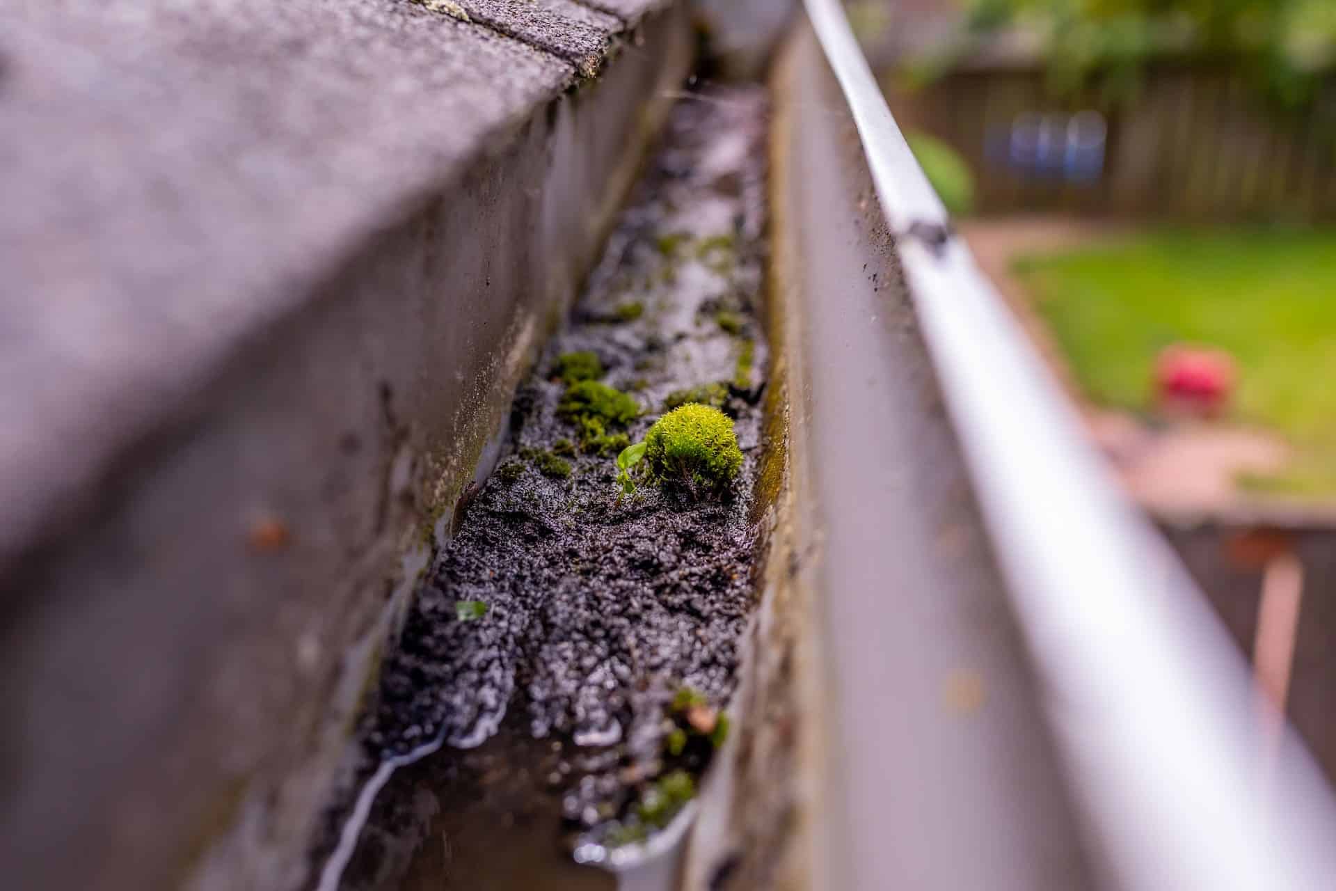 Gutter Cleaning Bellingham, WA
