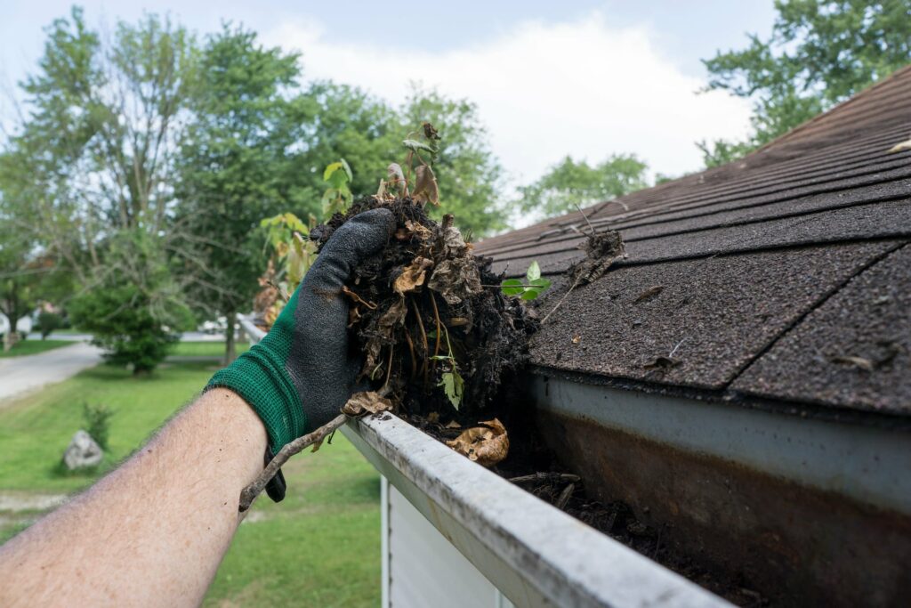 Gutter Cleaning Bellingham, WA