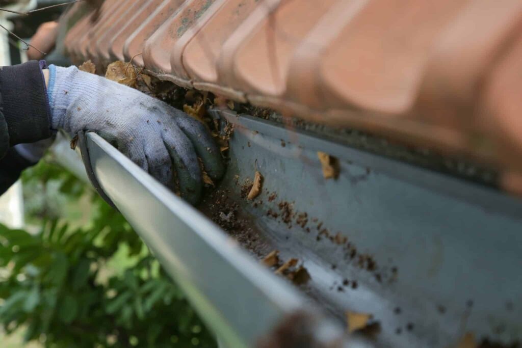 Anacortes Gutter Cleaning Near Me